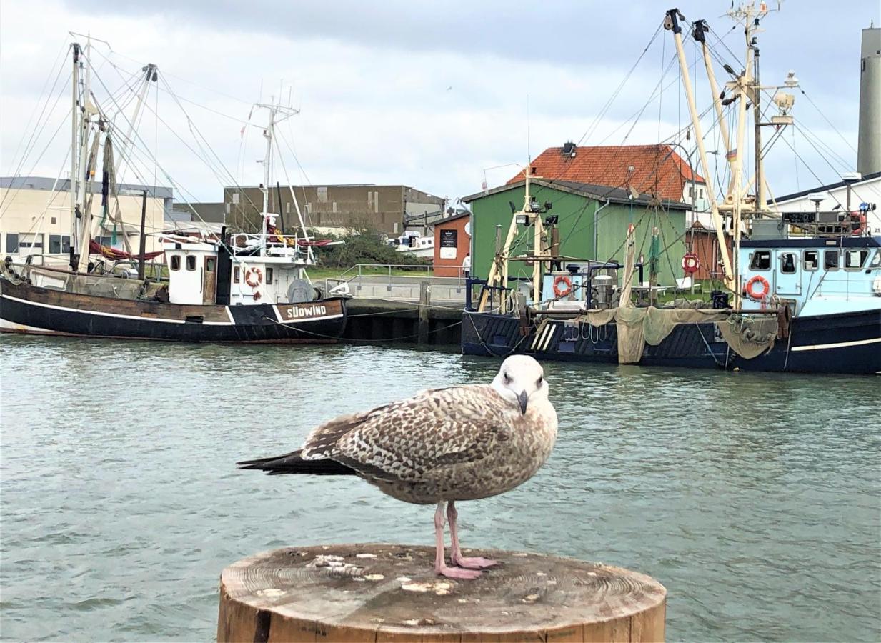 Kutterbude Buesum - Bude I Bagian luar foto